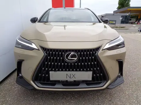 Annonce LEXUS NX Hybride 2024 d'occasion 