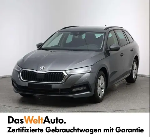 Used SKODA OCTAVIA Diesel 2023 Ad 