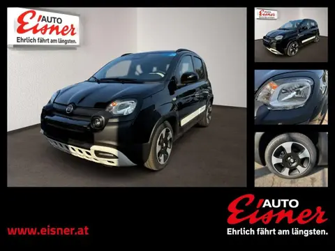 Used FIAT PANDA Hybrid 2024 Ad 