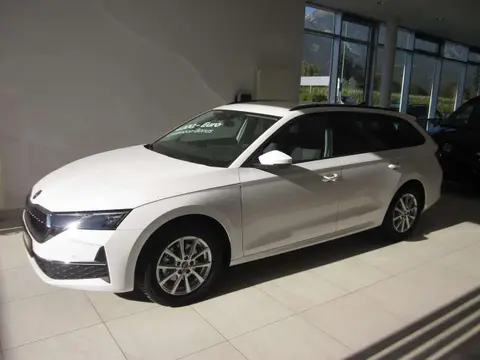 Used SKODA OCTAVIA Diesel 2024 Ad 