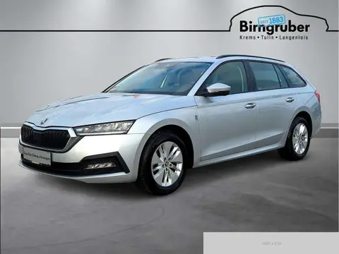 Used SKODA OCTAVIA Diesel 2021 Ad 