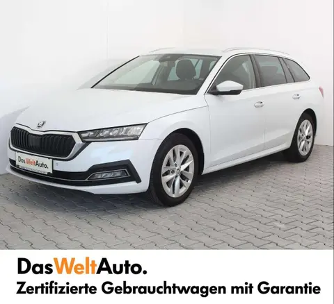 Used SKODA OCTAVIA Diesel 2020 Ad 