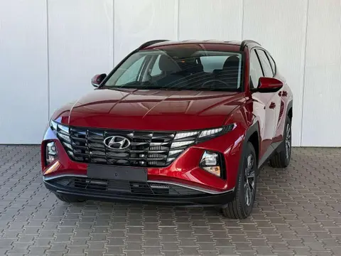 Used HYUNDAI TUCSON Hybrid 2024 Ad 