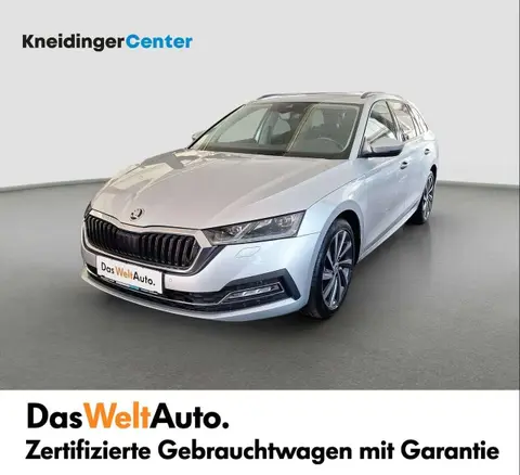 Annonce SKODA OCTAVIA Diesel 2021 d'occasion 