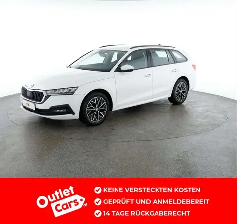 Used SKODA OCTAVIA Diesel 2020 Ad 