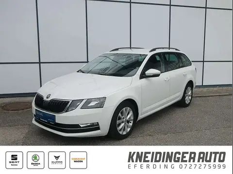 Annonce SKODA OCTAVIA Essence 2019 d'occasion 