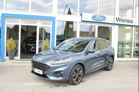 Used FORD KUGA Diesel 2024 Ad 