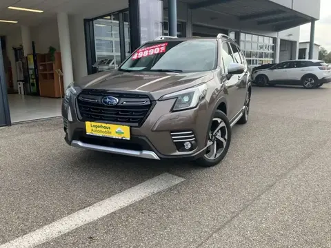 Used SUBARU FORESTER Petrol 2024 Ad 