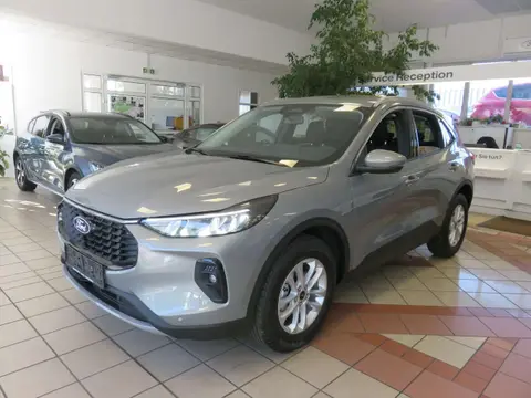 Annonce FORD KUGA Essence 2024 d'occasion 