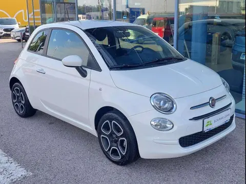 Used FIAT 500 Petrol 2022 Ad 