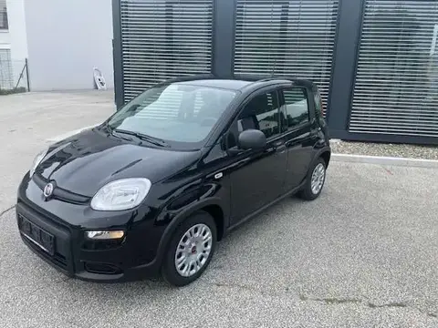 Used FIAT PANDA Petrol 2024 Ad 