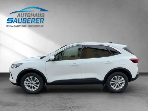 Annonce FORD KUGA Essence 2024 d'occasion 