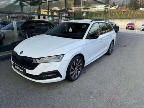 Annonce SKODA OCTAVIA Diesel 2024 d'occasion 