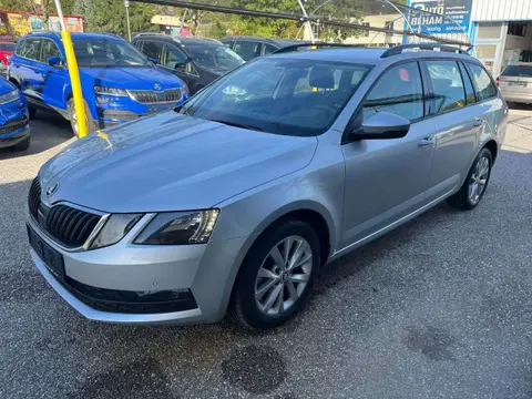 Used SKODA OCTAVIA Diesel 2019 Ad 