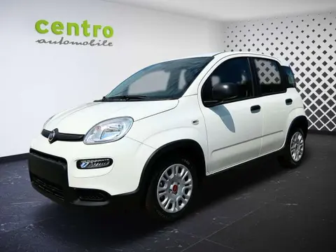 Annonce FIAT PANDA Essence 2024 d'occasion 