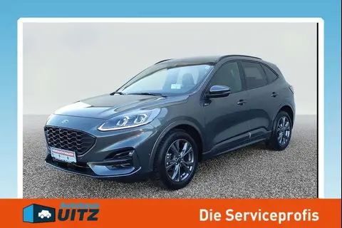 Annonce FORD KUGA Diesel 2023 d'occasion 