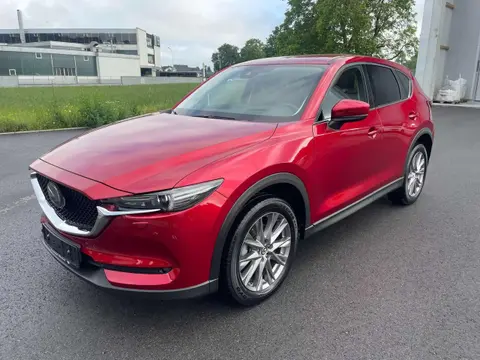 Annonce MAZDA CX-5 Diesel 2019 d'occasion 