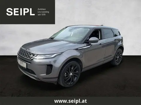 Used LAND ROVER RANGE ROVER EVOQUE Diesel 2019 Ad 