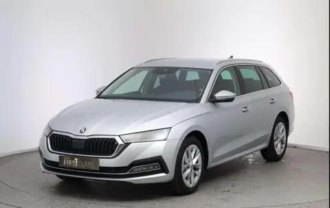 Annonce SKODA OCTAVIA Diesel 2024 d'occasion 