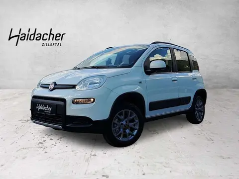 Annonce FIAT PANDA Essence 2017 d'occasion 