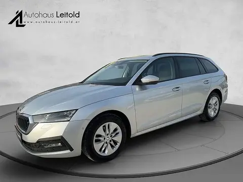 Annonce SKODA OCTAVIA Diesel 2020 d'occasion 