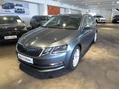 Annonce SKODA OCTAVIA Diesel 2020 d'occasion 