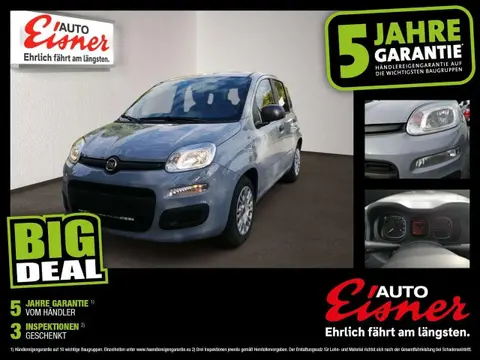 Annonce FIAT PANDA Essence 2022 d'occasion 