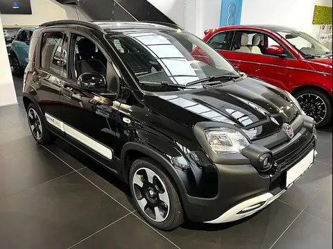 Annonce FIAT PANDA Essence 2024 d'occasion 