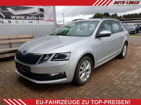 Annonce SKODA OCTAVIA Diesel 2019 d'occasion 