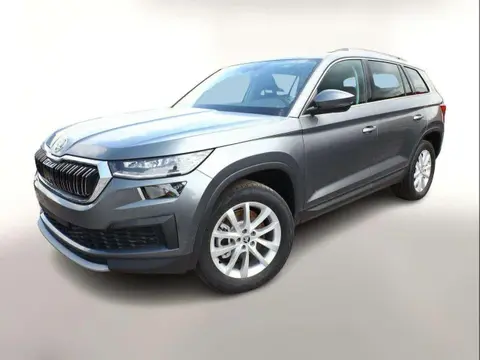 Used SKODA KODIAQ Diesel 2024 Ad 