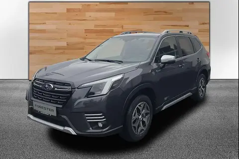 Annonce SUBARU FORESTER Hybride 2024 d'occasion 