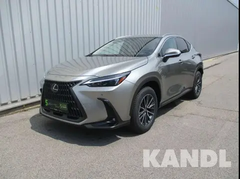 Annonce LEXUS NX Hybride 2024 d'occasion 