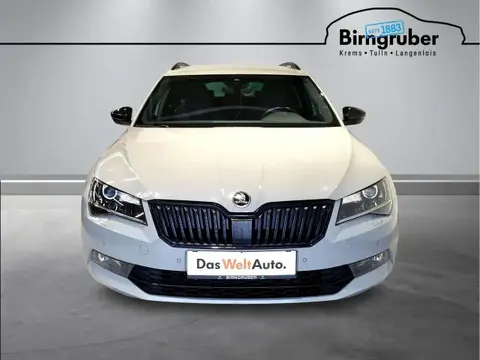 Annonce SKODA SUPERB Diesel 2019 d'occasion 