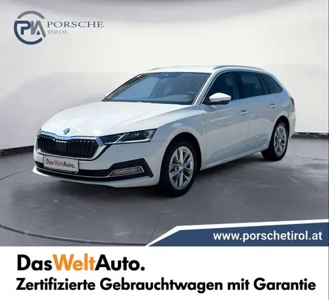 Annonce SKODA OCTAVIA Diesel 2024 d'occasion 