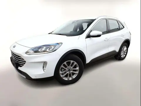 Used FORD KUGA Hybrid 2024 Ad 