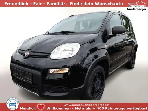 Annonce FIAT PANDA Essence 2019 d'occasion 