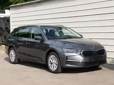 Annonce SKODA OCTAVIA Diesel 2024 d'occasion 