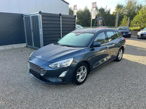 Used FORD FOCUS Diesel 2019 Ad 