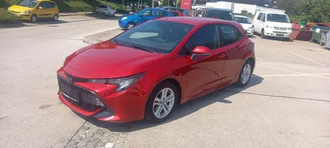 Used TOYOTA COROLLA Petrol 2019 Ad 