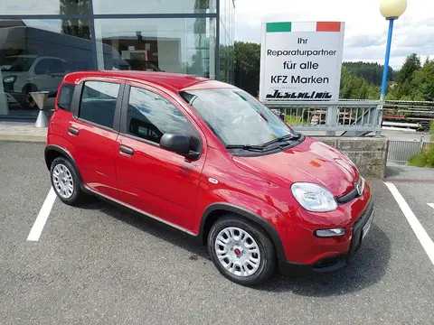 Annonce FIAT PANDA Essence 2024 d'occasion 