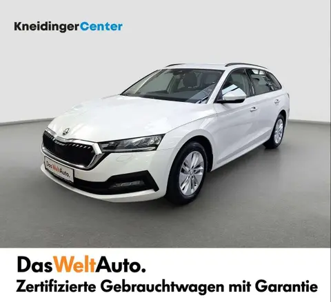 Annonce SKODA OCTAVIA Diesel 2021 d'occasion 