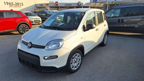 Annonce FIAT PANDA Essence 2024 d'occasion 