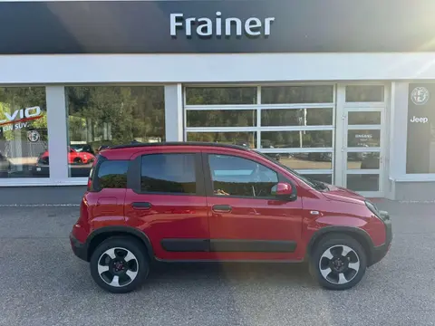 Annonce FIAT PANDA Essence 2024 d'occasion 