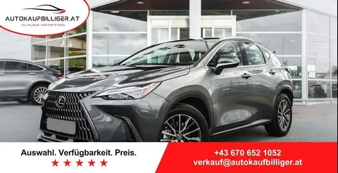 Annonce LEXUS NX Hybride 2023 d'occasion 