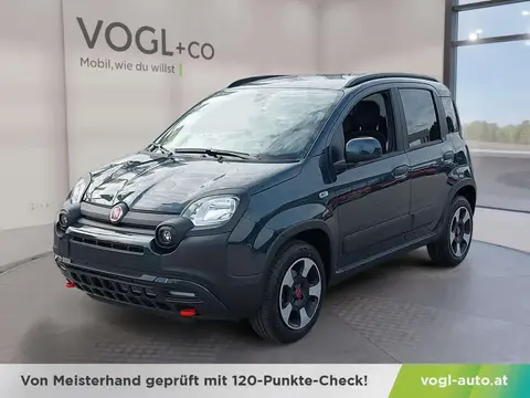 Annonce FIAT PANDA Essence 2024 d'occasion 