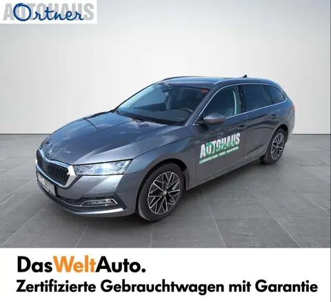 Used SKODA OCTAVIA Diesel 2024 Ad 