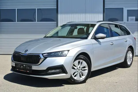 Used SKODA OCTAVIA Diesel 2022 Ad 