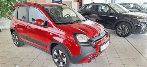 Annonce FIAT PANDA Hybride 2024 d'occasion 