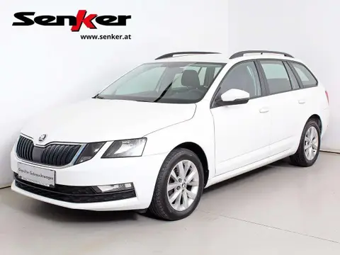 Annonce SKODA OCTAVIA Diesel 2019 d'occasion 