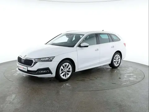 Used SKODA OCTAVIA Diesel 2020 Ad 